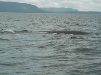 tadoussac 191.jpg